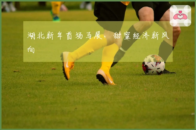 湖北新年首场马展，甜蜜经济新风向